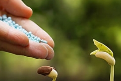 Fertilizing