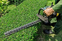 Hedge Trimming