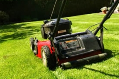 Lawn Cutting