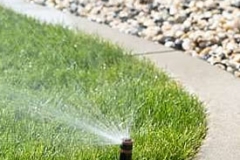 Sprinkler repair
